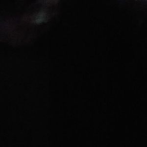 Meet your Posher, Vanny